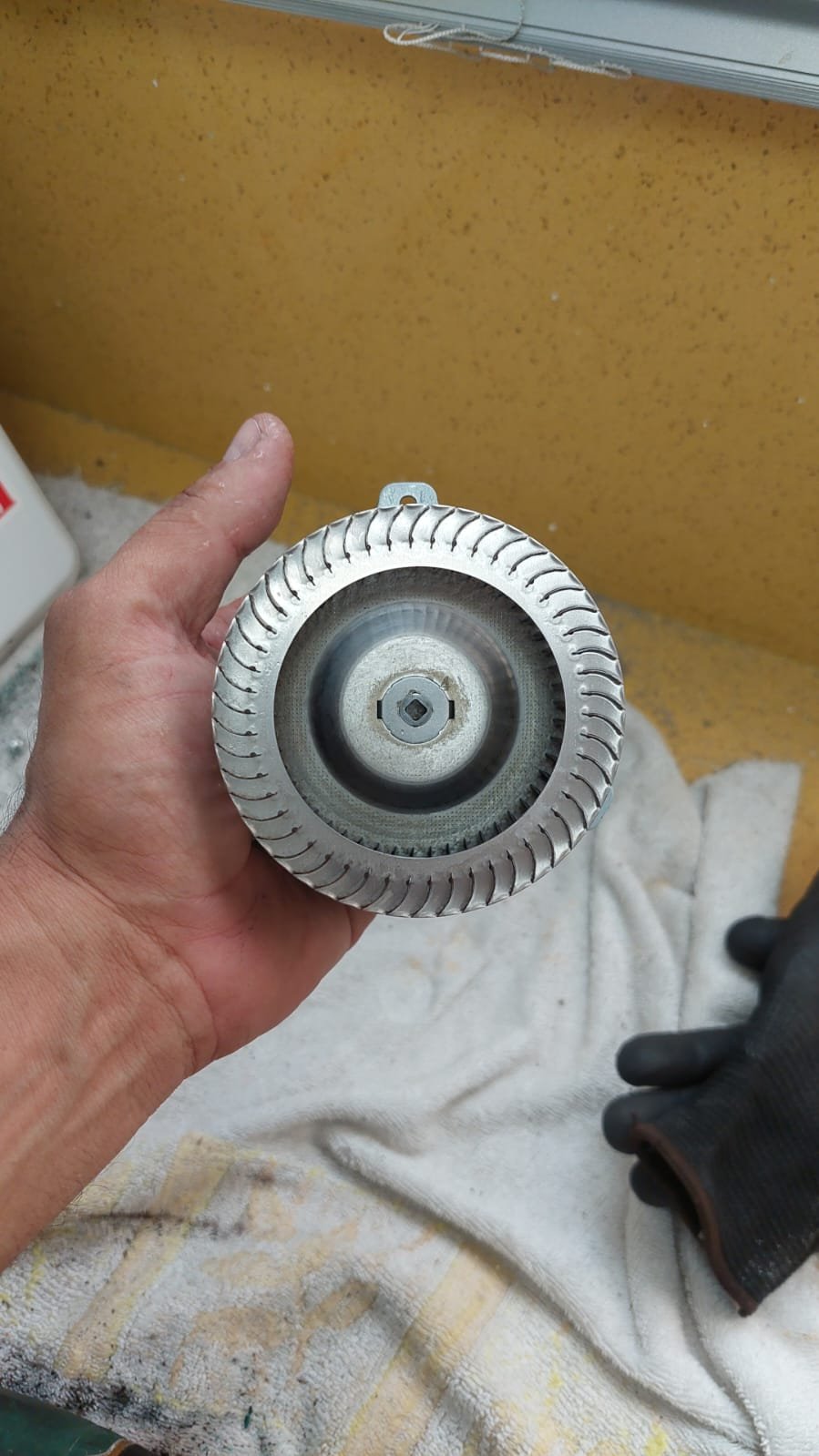 Imagem do WhatsApp de 2025-06-16 à(s) 20.20.59_59d96959